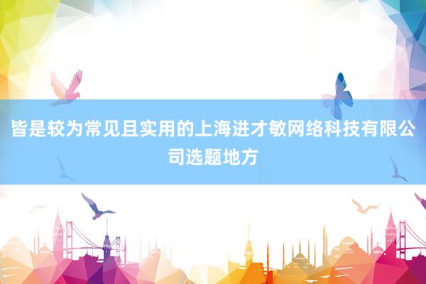 皆是较为常见且实用的上海进才敏网络科技有限公司选题地方